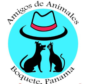 Animales Setup and Volunteer Training