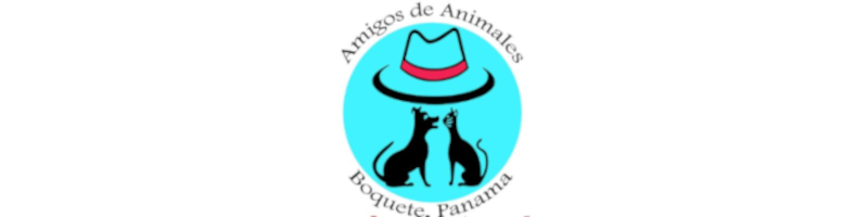 Animales Setup and Volunteer Training